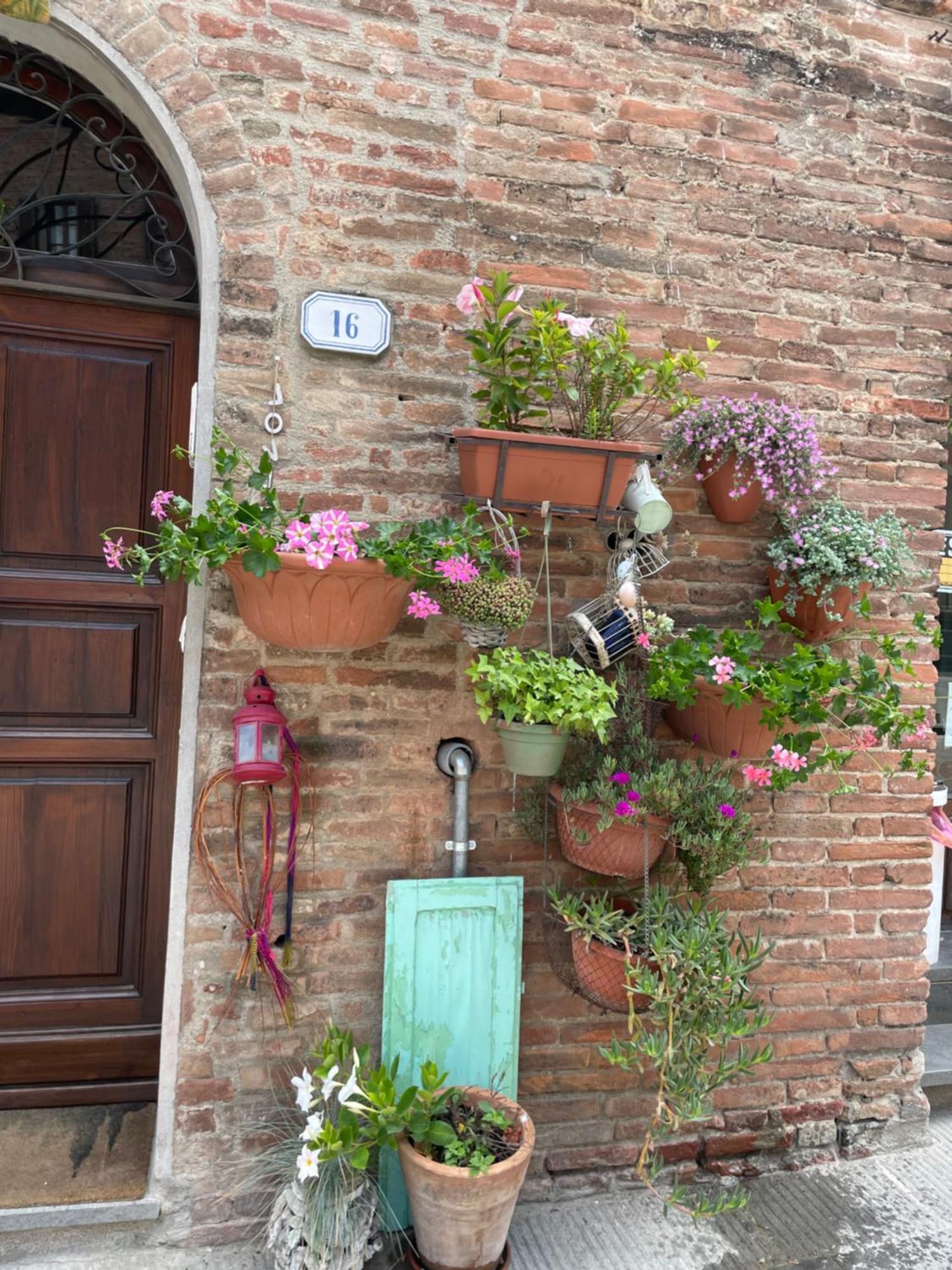 La Casa Dei Mimmi Hotel Citta della Pieve Bagian luar foto